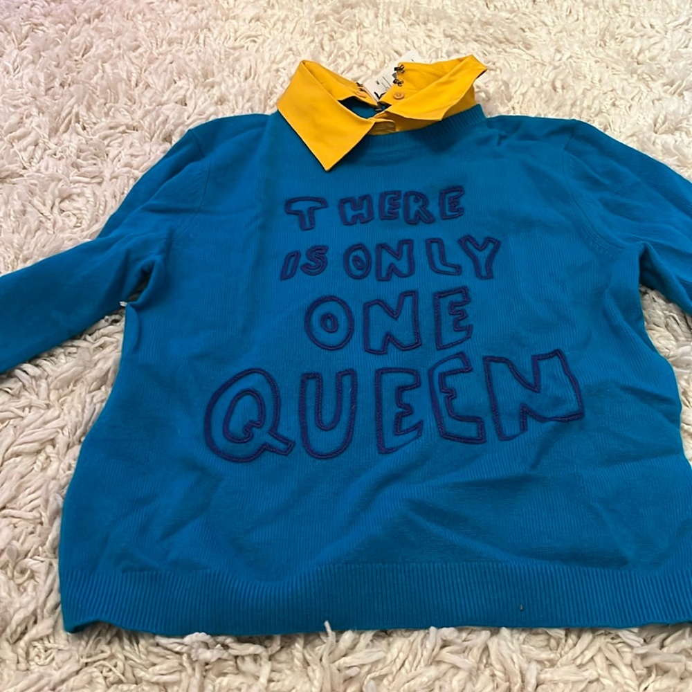 Alice and Olivia sweater